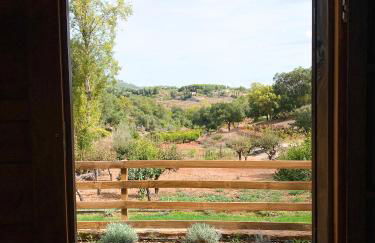 Vale do Laranjal - Foto 19