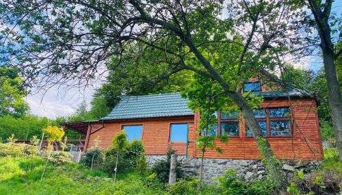 Pod Srebrzystym Świerkiem - Jacuzzi - Foto 3