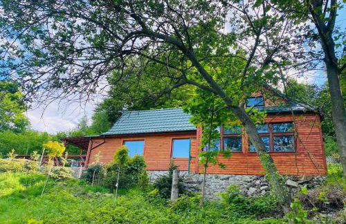 Pod Srebrzystym Świerkiem - Jacuzzi - Foto 3