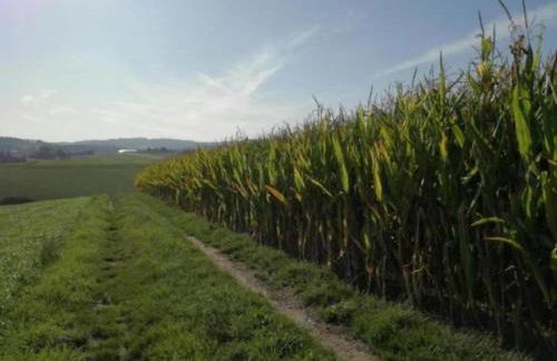 Gorgeous Holiday Home in Altenfeld Thuringia - Foto 135