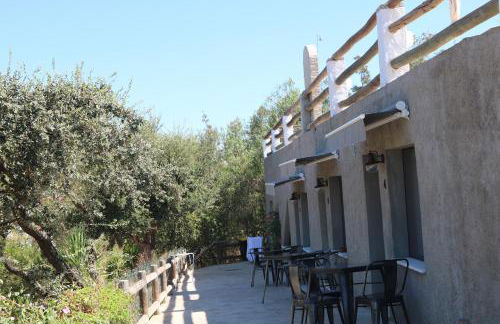 Horta da Quinta - Foto 16