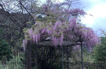 Giorgio's Inn - Foto 9