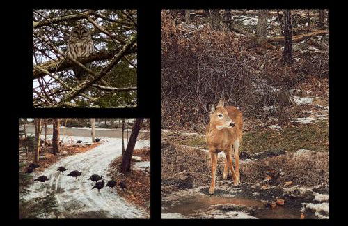 Designer Poconos Chalet I Ski, Skate, Lakes, Family-Friendly - Foto 36