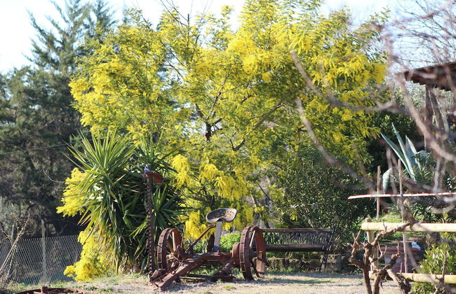 Agriturismo I Casamenti - Photo 23