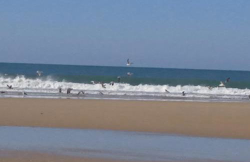 Maison landaise rénovée avec charme - Foto 27