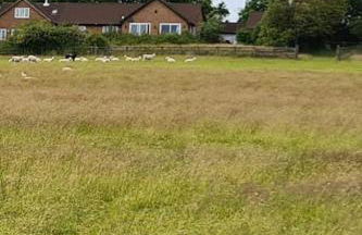 Orchard Cottage - Foto 30