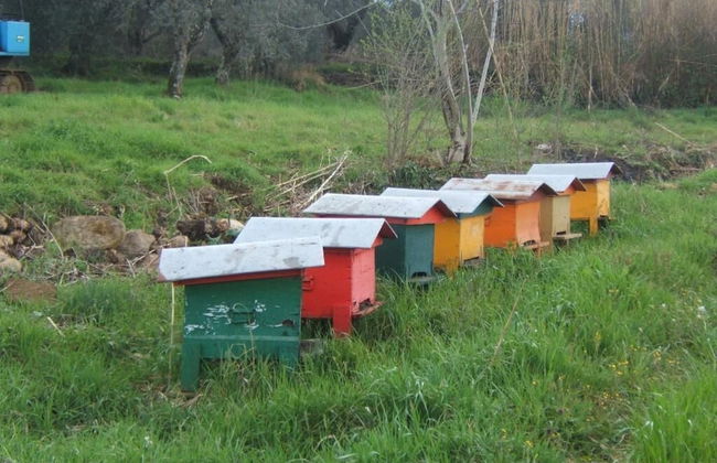 Agriturismo Casa Fibbianello - Foto 28