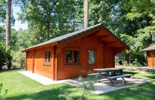 Chalet Near Utrecht With Combimicrowave - Photo 1