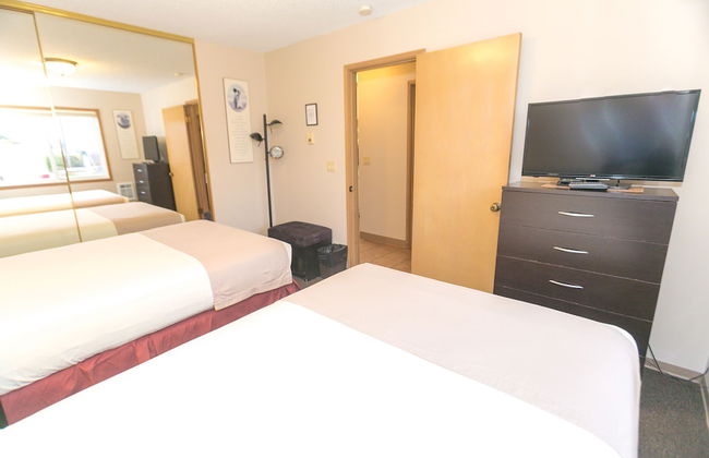 The Grey Gull - Foto 36