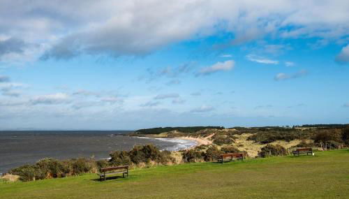 Little Archer - Photo 4