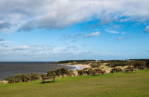 Little Archer - Photo 4