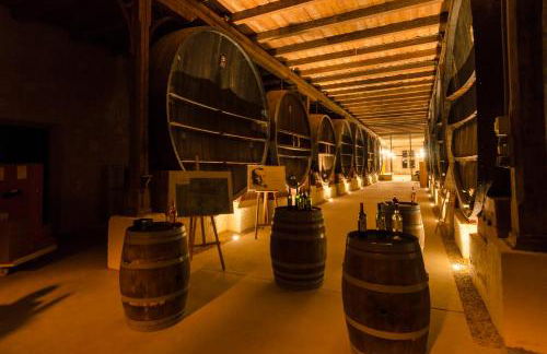 Château Pech-Celeyran - Foto 70