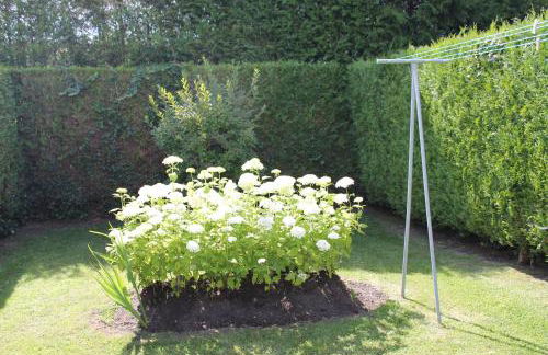 "Mi-a-clo" - Foto 18