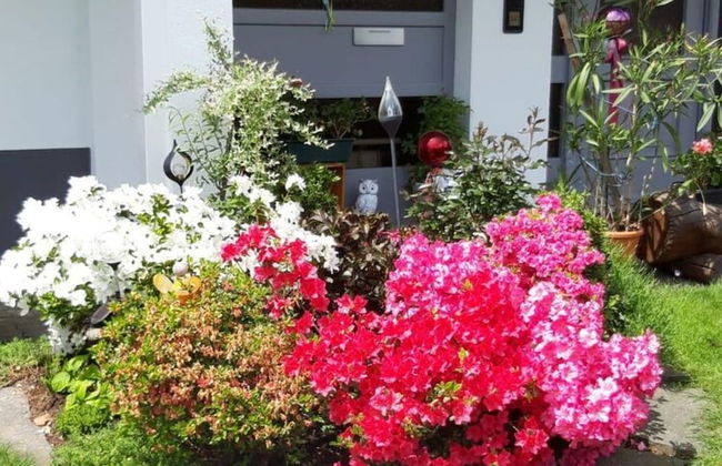 Apartment in Sallneck Near Nonnenmattweiher Lake - Foto 22