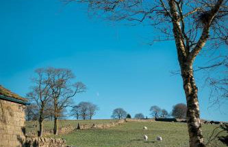 Stonelow Cottage - Photo 54