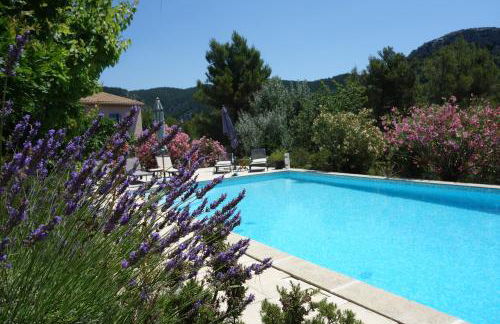 La Pinède du Barroux - Foto 30