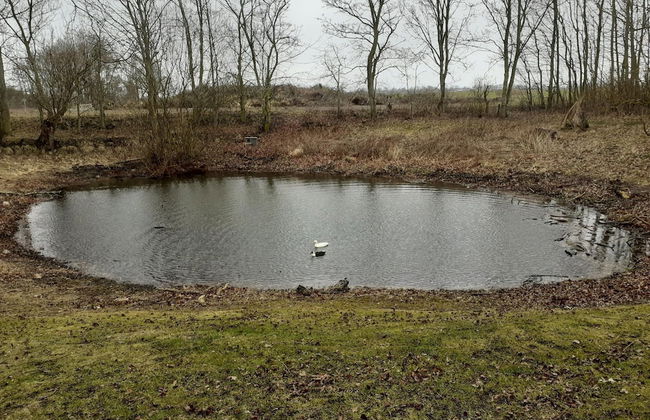 Exclusives Appartement auf Fehmarn - Foto 30