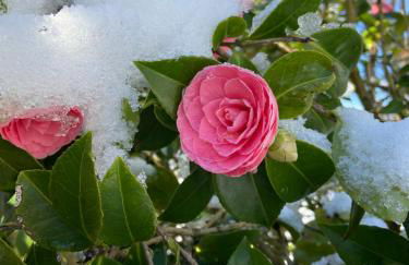 Ferienhaus Anni - Foto 42