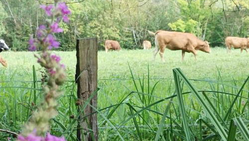 Logis de LANGE studio 2 p - Foto 4