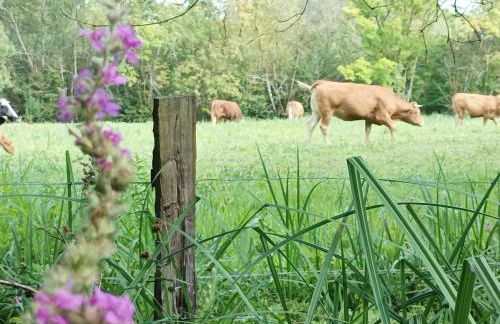 Logis de LANGE studio 2 p - Foto 4