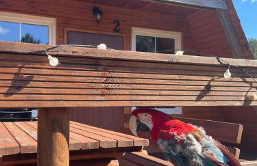 Domki Bory Tucholskie - Kurs na wypoczynek - Foto 14