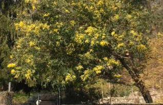 Country house - Foto 38