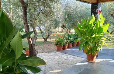 Olive Garden Beachside Hideaway - Photo 27