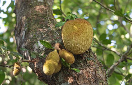 Quinta Santa Cruz - Foto 22