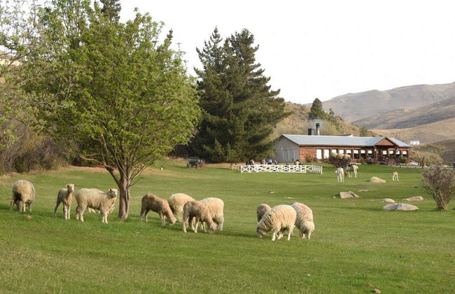 Cena con espectáculo en la Estancia 25 de mayo - Foto 3