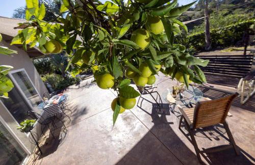 Near SoCal sports complex, Frontwave Arena-Sold - Foto 29