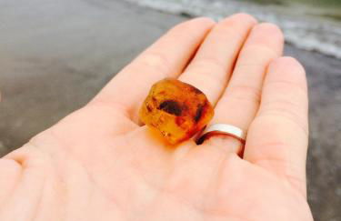 Apartment Meeresrauschen -mit Meerblick oberstes OG - Foto 31