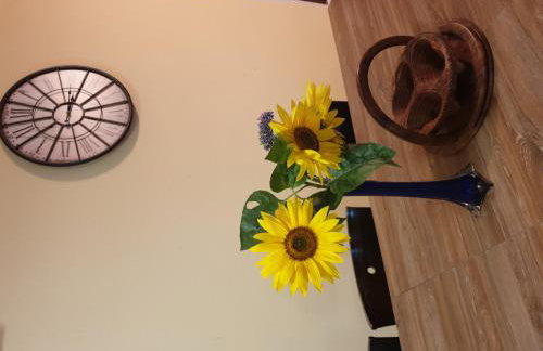 Vila Ema-kuća za odmor - Foto 25