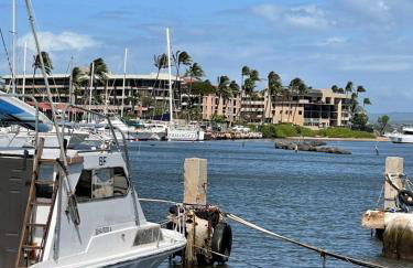 This place is different!! Award winning! Oceanfront, View View! - Foto 32