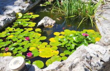 Gîte 2 "Le Tilia " aux magnolias 3 étoiles - Foto 16