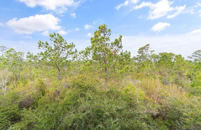 Villagio C246 - Foto 43