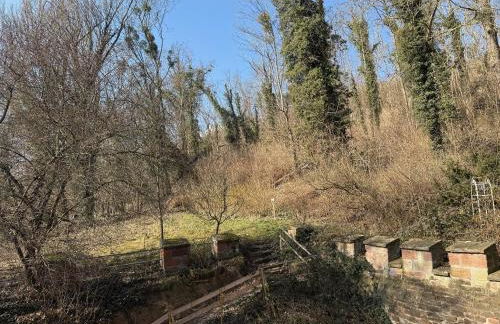 Schloss Zingst - Foto 45