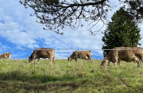 Apartment "Klein aber fein" - Foto 22