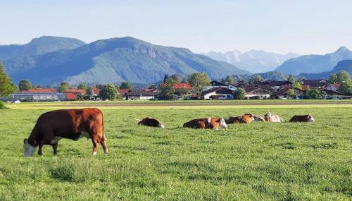 Pletschacher Franz - Maschtlhof - - Photo 2