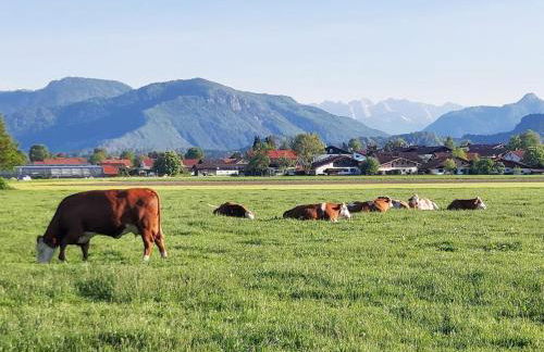 Pletschacher Franz - Maschtlhof - - Photo 2