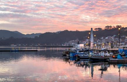 Complejo Rural Las Mimosas del Nalon - Foto 18