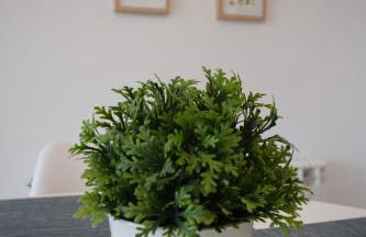 El Paraiso - Foto 30