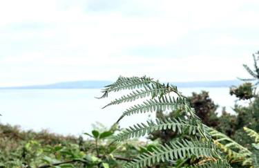 'The Studio' Designer, seaside cottage - Foto 55