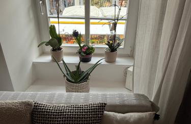 Waldshut -Kaiser55 - Foto 23