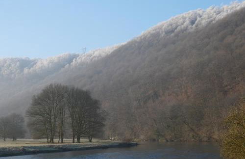 La Malavisée - Foto 30