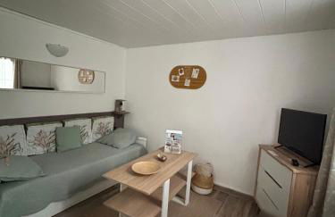 Gîtes Le Mas du Vieux Chêne - Foto 76