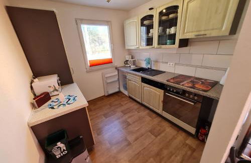 Ferienhaus direkt am Badesee Bungalow 11 Schönsee - Foto 4