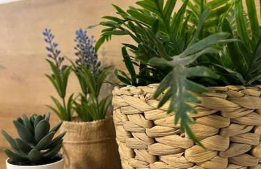 4 La Laguna, céntrico y acogedor - Foto 22