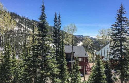 Eagle Point Ski Resort 10 Wooded Ridge Condos - Foto 20