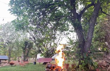 Ananda Multiverse Evolve 15' from the Botanical Garden - Foto 73