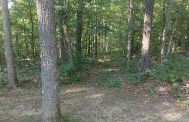 Baca Cabin Near Compton, Ponca, Buffalo River, Trails - Foto 51